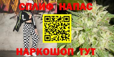 спайс Пугачёв