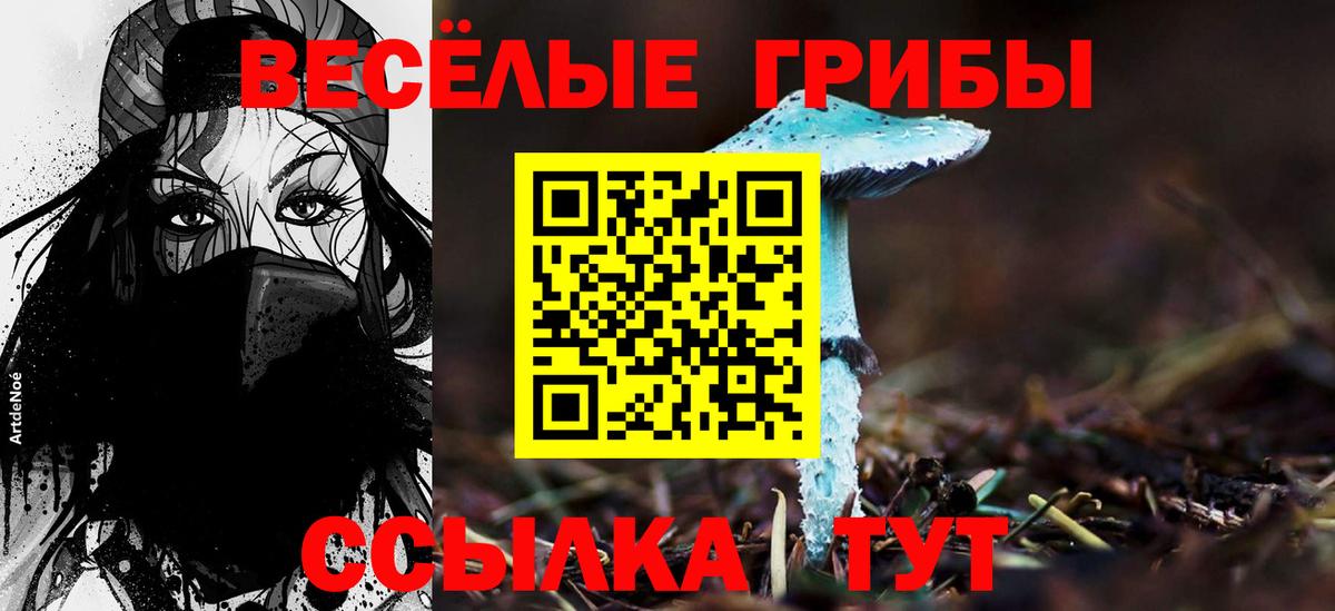 Галлюциногенные грибы Psilocybine cubensis  Вход с VPN  Сыктывкар 
